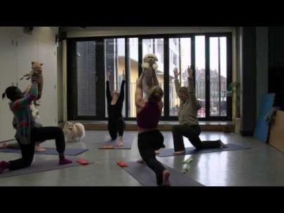 ¡Beneficios del yoga canino!