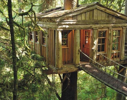 Hoteles  en los árboles … ¡Impresionantes!