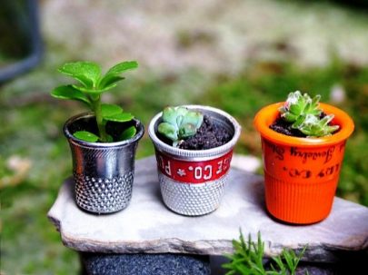 Ideas para jardines en miniatura, ¡crea el tuyo!