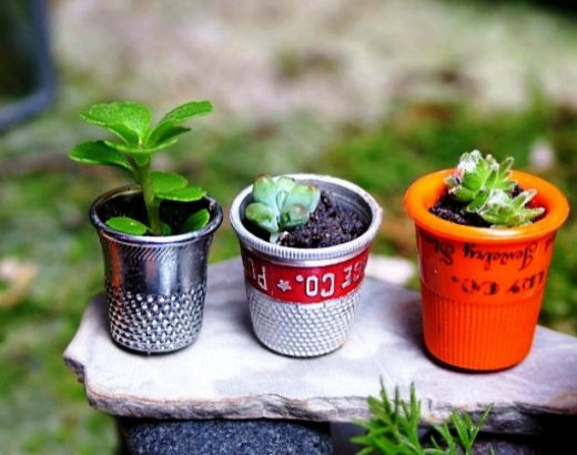 Ideas para jardines en miniatura, ¡crea el tuyo!
