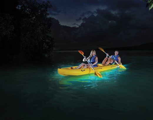 ¡Las bahías bioluminiscentes de Puerto Rico!