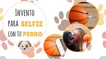 ¡Invento para poder hacerte un selfie con tu perro! ?????‍♀️